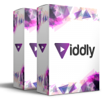Viddly Review